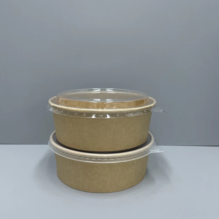 Salad bowl with lid